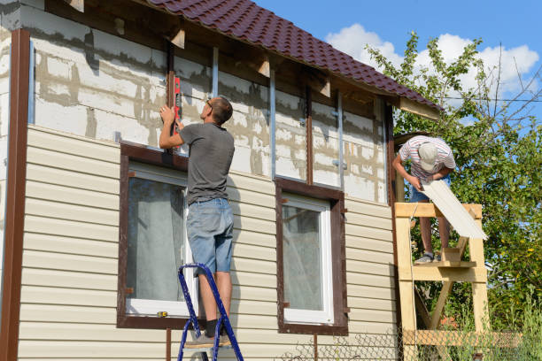 Best Insulated Siding Installation  in Meridian, MS