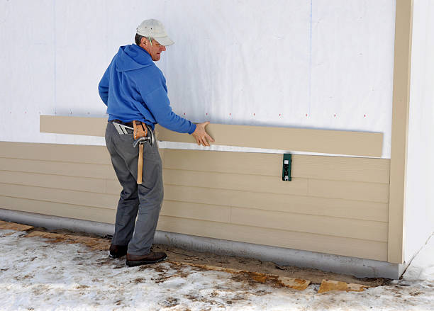 Best Vinyl Siding Installation  in Meridian, MS